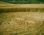 The Pilgrim's Way, Kent crop circle, aerial photo 8