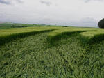 The Ridgeway, Wiltshire crop circle, aerial photo 7