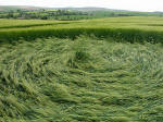 The Ridgeway, Wiltshire crop circle, aerial photo 8