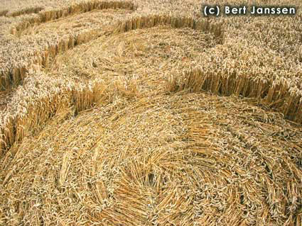 Roundway Hill, Wiltshire crop circle, aerial photo 8