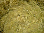 Silbury Hill, Wiltshire crop circle, aerial photo 4