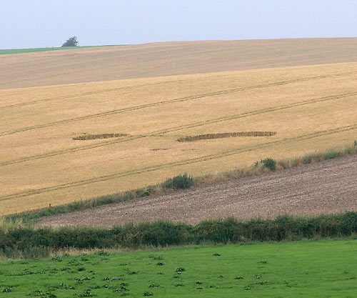 Silbury Hill, Wiltshire crop circle, aerial photo 7
