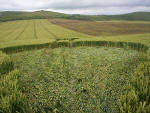 South Field, Wiltshire crop circle, aerial photo 12