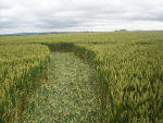 South Field, Wiltshire crop circle, aerial photo 14