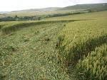 South Field, Wiltshire crop circle, aerial photo 15