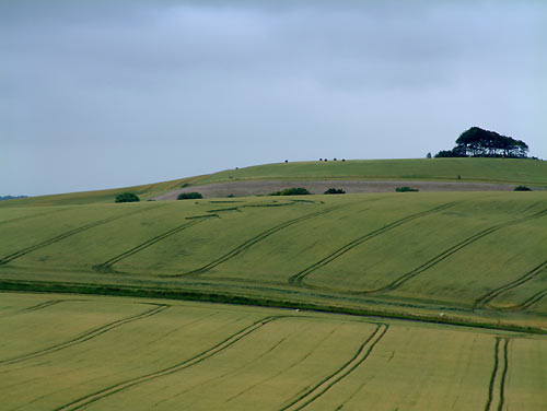 South Field, Wiltshire crop circle, aerial photo 5