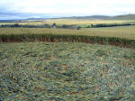 South Field, Wiltshire crop circle, aerial photo 7