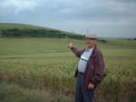Steep Down, West Sussex crop circle, aerial photo 10