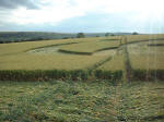 Steep Down, West Sussex crop circle, aerial photo 8