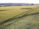 Steep Down, West Sussex crop circle, aerial photo 13