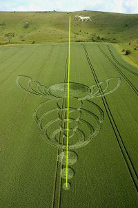 Tan Hill, Wiltshire crop circle, aerial photo 18