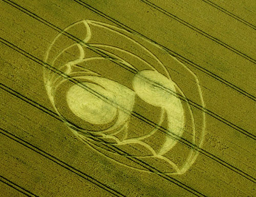 Tan Hill, Wiltshire crop circle, aerial photo 14
