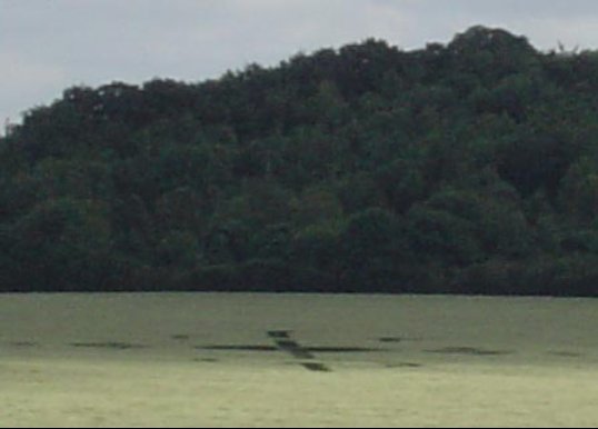 Telegraph Hill, Hertfordshire crop circle, aerial photo 3