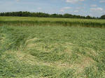 Telegraph Hill, Hertfordshire crop circle, aerial photo 5