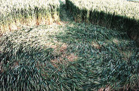 Watton Road, Hertfordshire crop circle, aerial photo 3