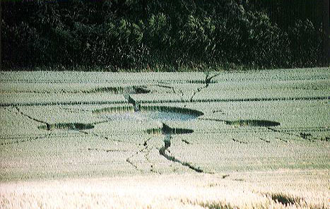 Watton Road, Hertfordshire crop circle, aerial photo 2