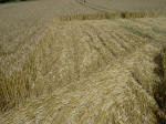 West Kennett (2), Wiltshire crop circle, aerial photo 8