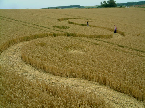 Avebury Down, Wiltshire crop circle, aerial photo 7