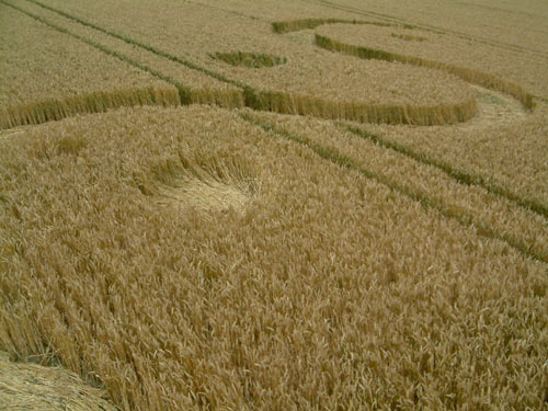 Avebury Down, Wiltshire crop circle, aerial photo 8