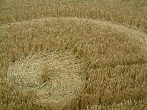 Avebury Down, Wiltshire crop circle, aerial photo 9