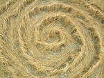 Wilton Windmill, Wiltshire crop circle, aerial photo 14