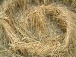 Wilton Windmill, Wiltshire crop circle, aerial photo 15