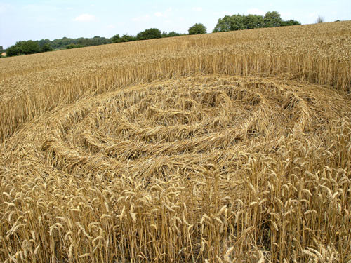 Wilton Windmill, Wiltshire crop circle, aerial photo 6