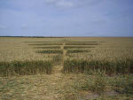 Windmill Hill, Wiltshire crop circle, aerial photo 10