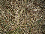 Windmill Hill, Wiltshire crop circle, aerial photo 11