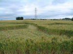 Wood Bridge, Wiltshire crop circle, aerial photo 7