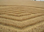 First crop circle, aerial photo 4