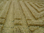 First crop circle, aerial photo 7
