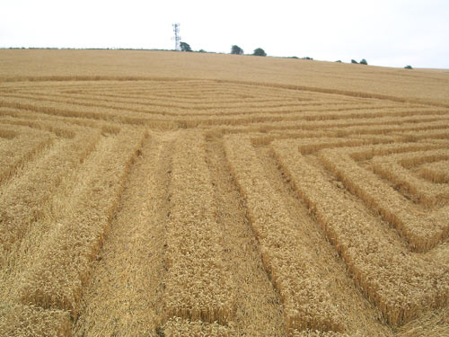 First crop circle, aerial photo 3