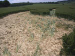 Boreham Down, wiltshire crop circle, aerial photo 23