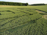 Boreham Down, wiltshire crop circle, aerial photo 9
