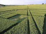 Boreham Down, wiltshire crop circle, aerial photo 10