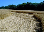 Boxley, Kent crop circle, aerial photo 9