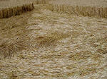 Boxley, Kent crop circle, aerial photo 10