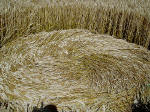 Boxley, Kent crop circle, aerial photo 16
