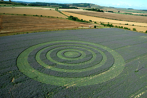 Collingbourne Kingston, Wiltshire crop circle, aerial photo 3