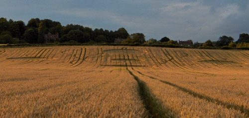 Garsington, Oxfordshire crop circle, aerial photo 4