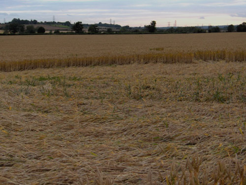 Garsington, Oxfordshire crop circle, aerial photo 5