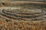 Garsington, Oxfordshire crop circle, aerial photo 20