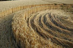 Garsington, Oxfordshire crop circle, aerial photo 21