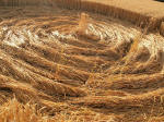 Garsington, Oxfordshire crop circle, aerial photo 22