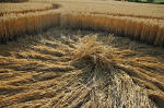 Garsington, Oxfordshire crop circle, aerial photo 23