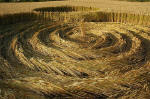 Garsington, Oxfordshire crop circle, aerial photo 25