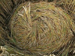 Garsington, Oxfordshire crop circle, aerial photo 27