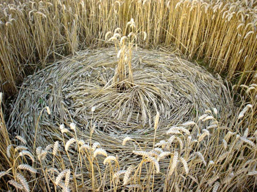 Garsington, Oxfordshire crop circle, aerial photo 10