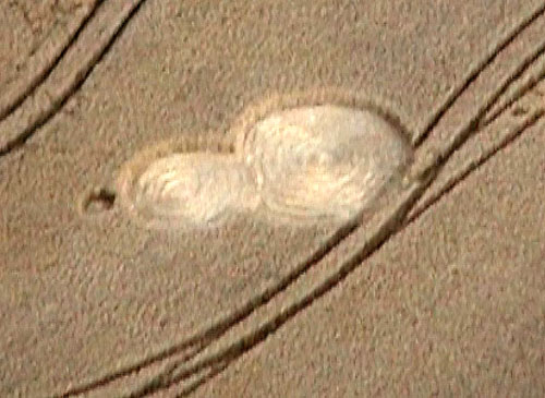 Garsington, Oxfordshire crop circle, aerial photo 12